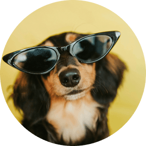 Mascotte Cap Optique